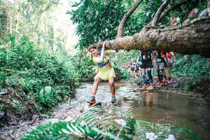 BIB: 
                            <button type="button" onclick="openModal(25475216)" class="btn btn-primary btn-sm float-right btn-popup" data-toggle="modal" data-target=".modal-high-quality">
                        <i class="fas fa-shopping-cart"></i> Add to Cart
                    </button>
                                            <button type="button" onclick="isThisMe(25475216, true)" class="btn btn-success btn-sm float-right btn-popup btn-isme hidden" data-toggle="tooltip" data-placement="bottom" title="นี่คือรูปของคุณใช่ไหม คลิกที่นี่เพื่อเอาเข้าอัลบั้ม">
                        <i class="fas fa-plus"></i> Add to album
                    </button>
                    <button type="button" onclick="isThisMe(25475216, false)" class="btn btn-warning btn-sm float-right btn-popup btn-isnotme hidden">
                        <i class="fas fa-ban"></i> Remove from album
                    </button>